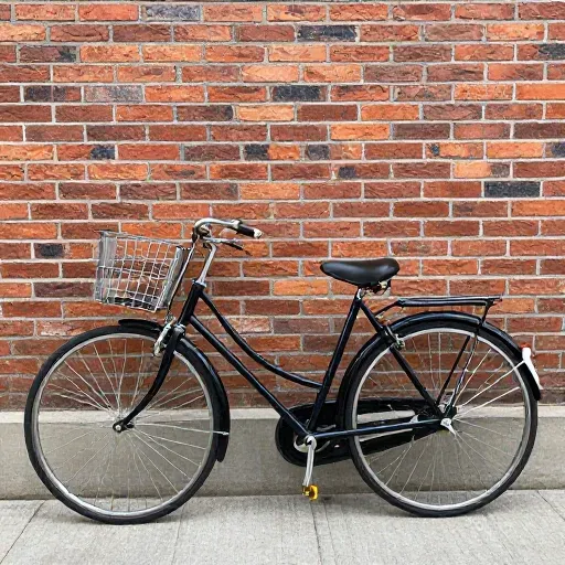 Từ vựng 自行车 – xe đạp, chiếc xe đạp