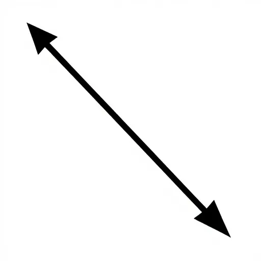 Từ vựng 从 – từ (thời gian, địa điểm)