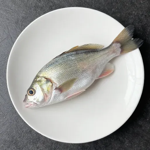 Từ vựng 鱼 – con cá