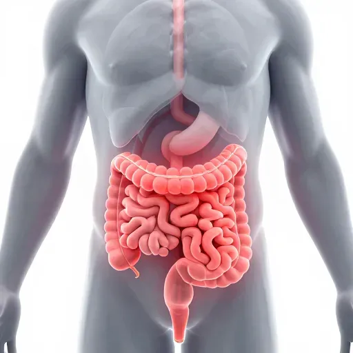 Từ vựng 肠炎 – viêm ruột