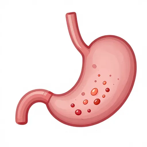 Từ vựng 消化 – tiêu hóa