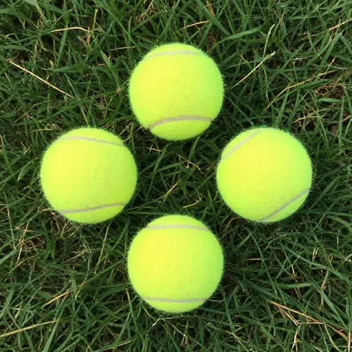 Từ vựng 三 – số ba, ba