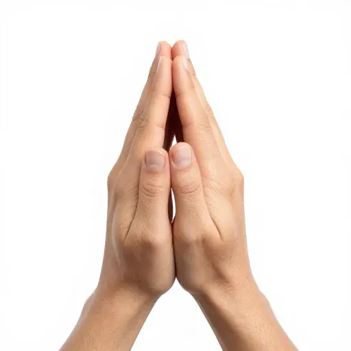 Từ vựng 感谢 – Cảm ơn , biết ơn