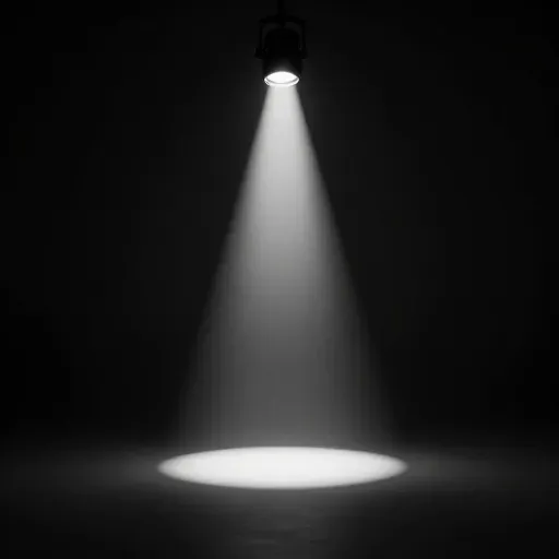 Từ vựng 光 – chỉ, chỉ mỗi, chỉ đơn thuần