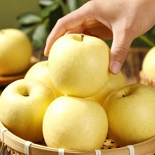 Từ vựng 有些 – một số, một vài