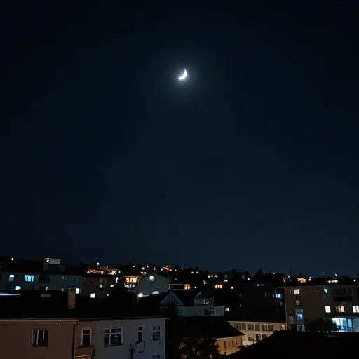 Từ vựng 夜 – đêm