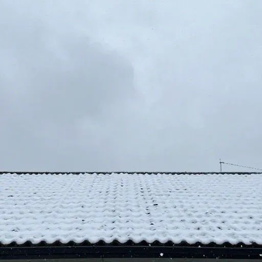 Từ vựng 下雪 – tuyết rơi